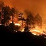 ब्रेकिंग: फायर सीजन के चलते पहाड़ों के जंगलों में आग ने ले लिया विकराल रूप…