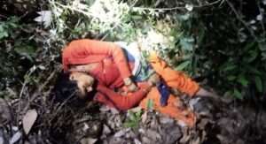 उत्तराखंड। महिला को आदमखोर बाघ ने बनाया निवाला, महिला की मौत से सहमे लोग