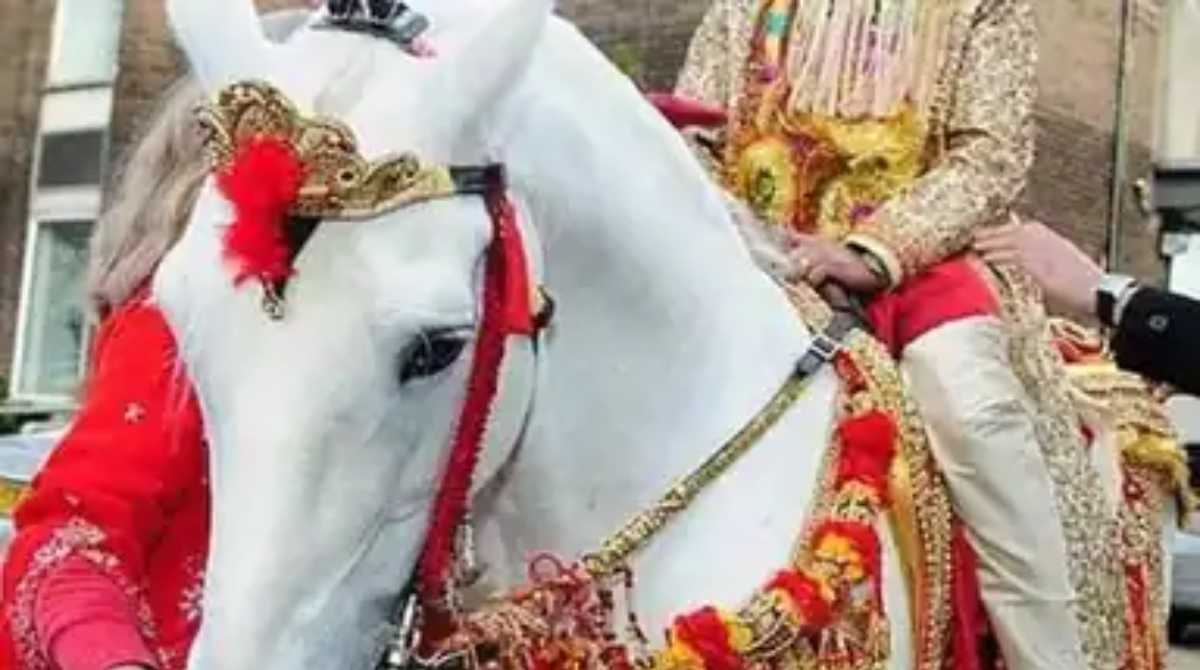 उत्तराखंडः तय समय से पहले बारात ले गया दोस्त तो दोस्त ने भेज दिया मानहानि का नोटिस…