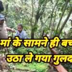 Guldar attack: मां के सामने ही 5 वर्ष के बच्चे को उठा ले गया गुलदार, हफ्ते से गांव में था टहल रहा