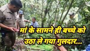 Guldar attack in uttarakhand (उत्तराखंड न्यूज़, Latest uttarakhand News in Hindi)