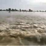 Heavy Rains Flood Rajasthan: भारी बारिश से किसानों की फसलों को नुकसान, गांव के छोटे बांध भी टूटे