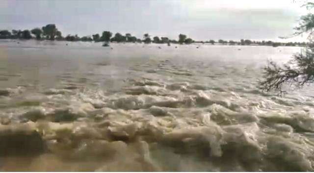 Heavy Rains Flood Rajasthan: भारी बारिश से किसानों की फसलों को नुकसान, गांव के छोटे बांध भी टूटे