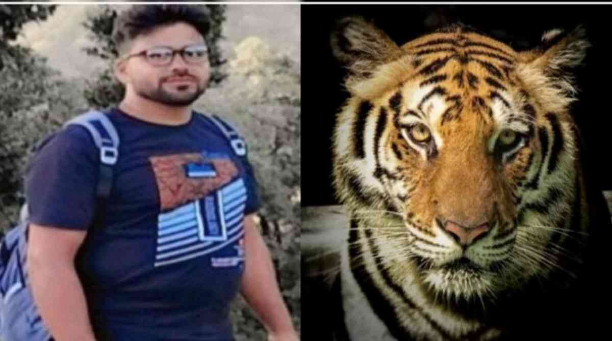 हादसा: सड़क किनारे घात लगाए बैठा था बाघ, चलती बाइक किया हमला…