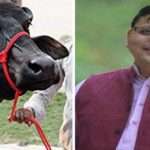 सीएम धामी के निर्देश पर भैंस चोरी का मुकदमा दर्ज, जानें मामला…