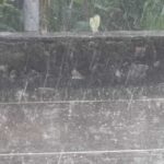 Dehradun Weather: एक घंटे तक मूसलाधार बारिश के साथ जमकर हुई ओलावृष्टि…