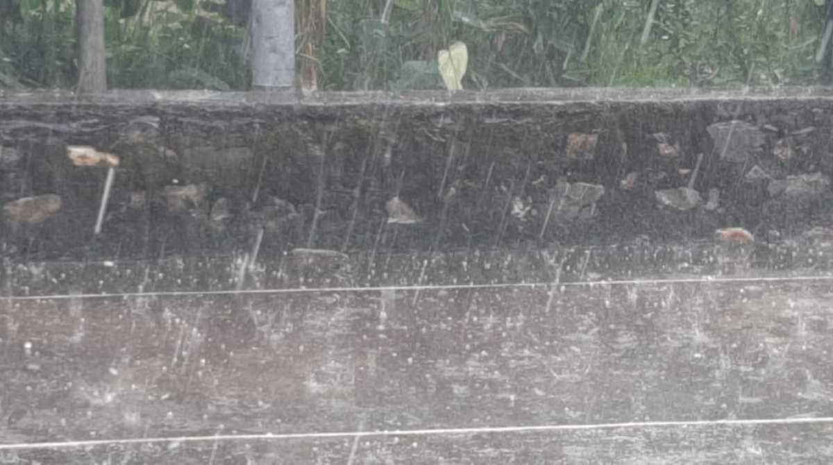 Dehradun Weather: एक घंटे तक मूसलाधार बारिश के साथ जमकर हुई ओलावृष्टि…