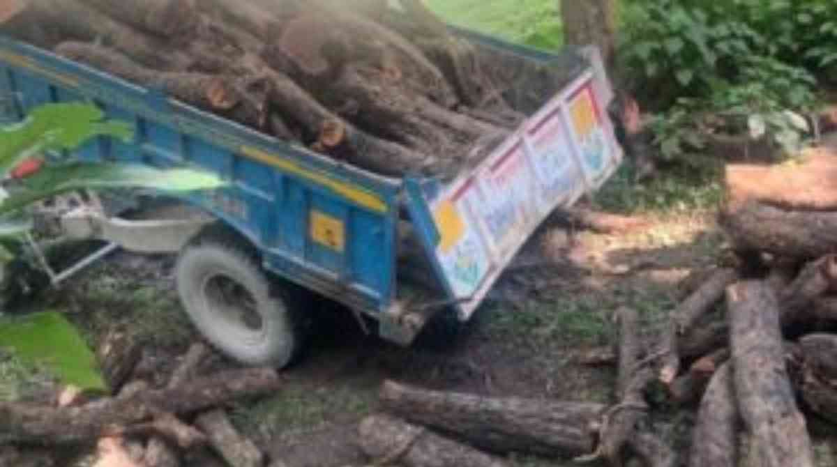 Big Breaking: वन रेंज लच्छीवाला में बरामद हुई झाड़ियों से खैर की लकड़ी…