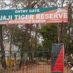 राजाजी टाइगर रिजर्व पार्क के कर्मियों की छुट्टियां रद्द, रेड अलर्ट…