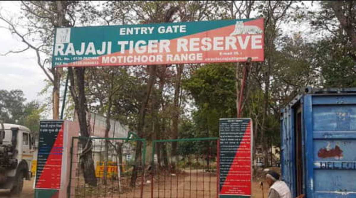 राजाजी टाइगर रिजर्व पार्क के कर्मियों की छुट्टियां रद्द, रेड अलर्ट…