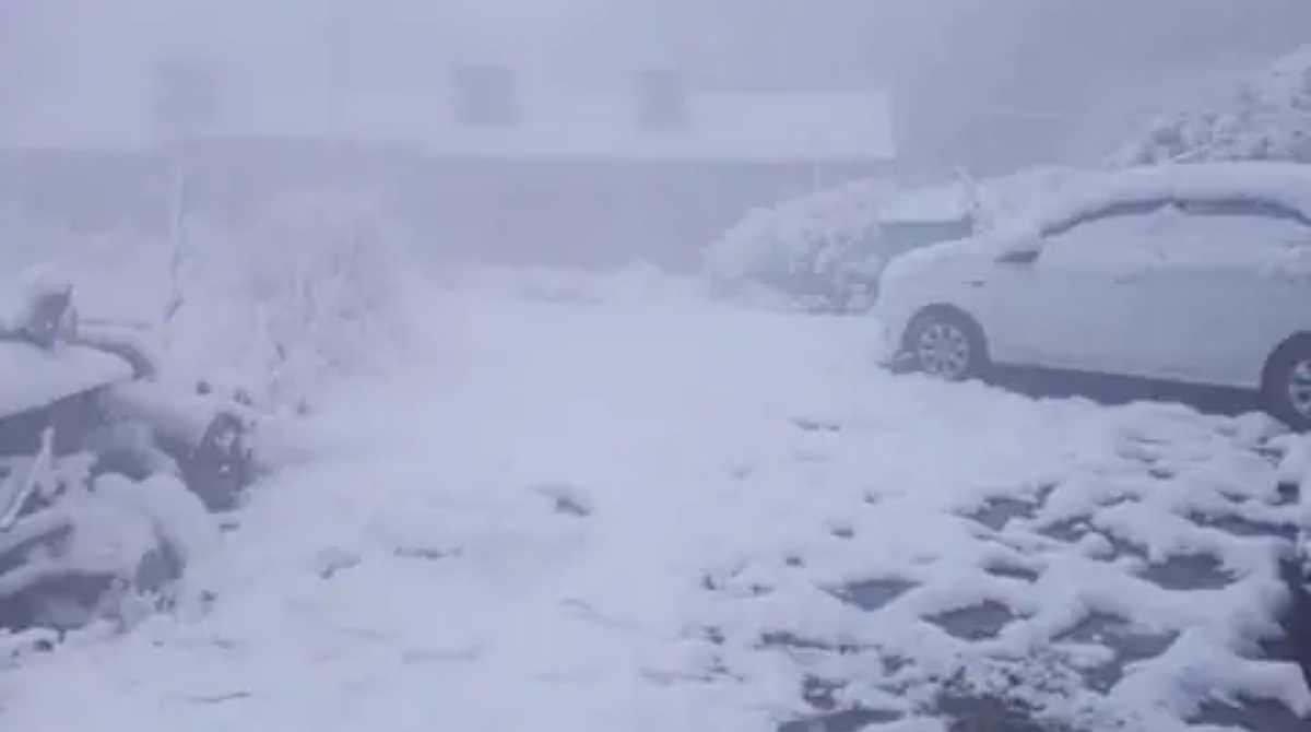 Alert: उत्तराखंड के इन तीन जिलों में एवलांच की चेतावनी, बर्फबारी का भी अलर्ट…