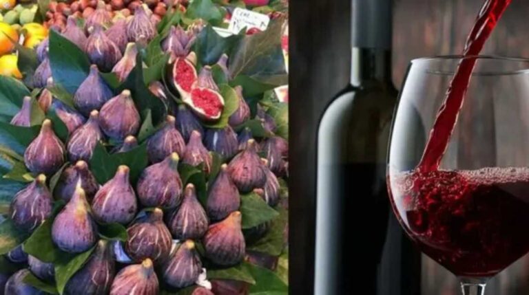 बेड़ू की खेती और इसके विक्रय के लिए शासन ने