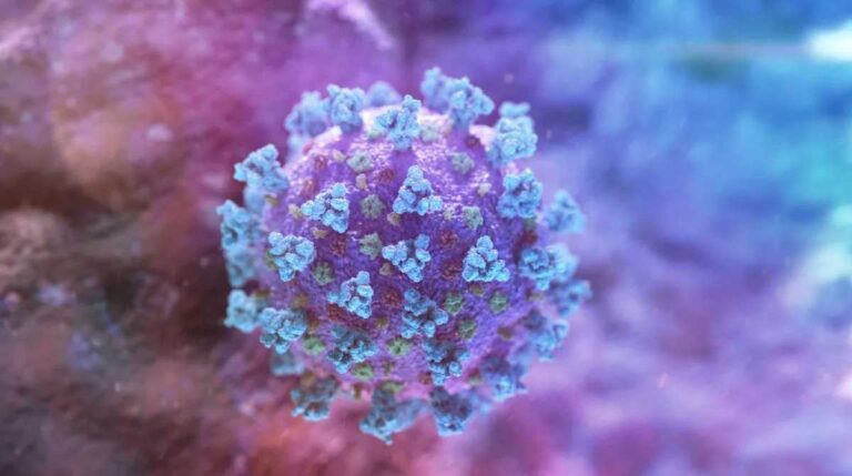 उत्तराखंड में दो लोगों में एच-3एन-2 की पुष्टि, ये है