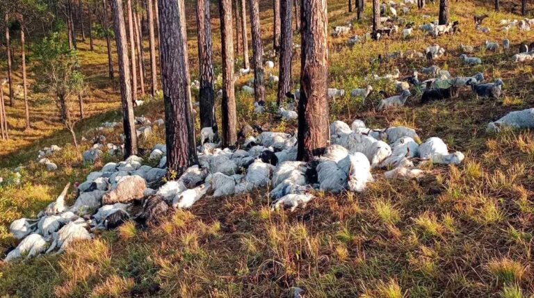 &agrave;&curren;&agrave;&curren;&curren;&agrave;&yen;&agrave;&curren;&curren;&agrave;&curren;&deg;&agrave;&curren;&agrave;&curren;&frac34;&agrave;&curren;&para;&agrave;&yen; &agrave;&curren;&reg;&agrave;&yen;&agrave;&curren; &agrave;&curren;&agrave;&curren;&agrave;&curren;&frac34;&agrave;&curren;&para;&agrave;&yen;&agrave;&curren;&macr; &agrave;&curren;&not;&agrave;&curren;&iquest;&agrave;&curren;&agrave;&curren;&sup2;&agrave;&yen; &agrave;&curren;&agrave;&curren;&iquest;&agrave;&curren;&deg;&agrave;&curren;&uml;&agrave;&yen; &agrave;&curren;&cedil;&agrave;&yen; 300 &agrave;&curren;&cedil;&agrave;&yen; &agrave;&curren;&agrave;&yen;&agrave;&curren;&macr;&agrave;&curren;&frac34;&agrave;&curren;&brvbar;&agrave;&curren;&frac34; &agrave;&curren;&not;&agrave;&curren;&agrave;&curren;&deg;&agrave;&curren;&iquest;&agrave;&curren;&macr;&agrave;&yen;&agrave;&curren;