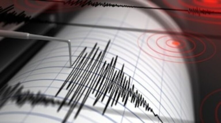 Earthquake: न्यूज़ीलैण्ड में जबरदस्त भूकंप के झटके, इतनी मापी गयी