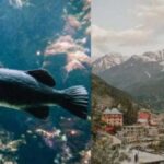 इंटीग्रेटेड एक्वा पार्क के लिए शासनादेश जारी, जानें कहां बनेगा ये…