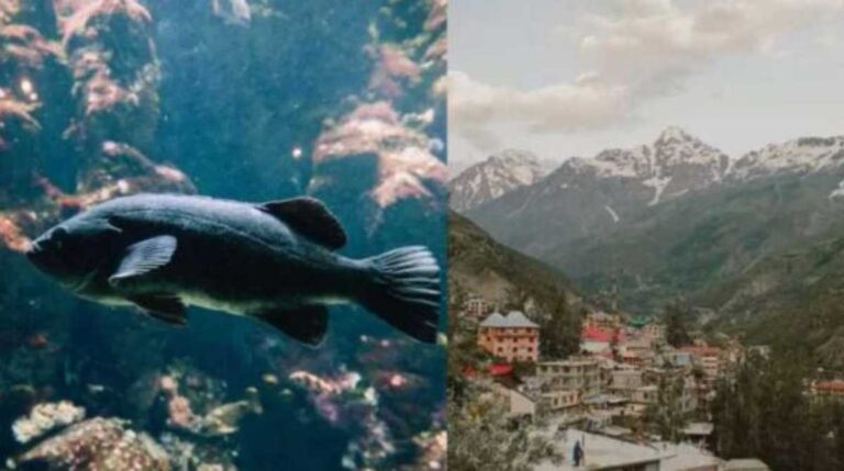 इंटीग्रेटेड एक्वा पार्क के लिए शासनादेश जारी, जानें कहां बनेगा