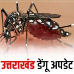 उत्तराखंड में डेंगू का बढ़ रहा खतरा, दून में मिले एक दिन में इतने मरीज, बरते सावधानी…