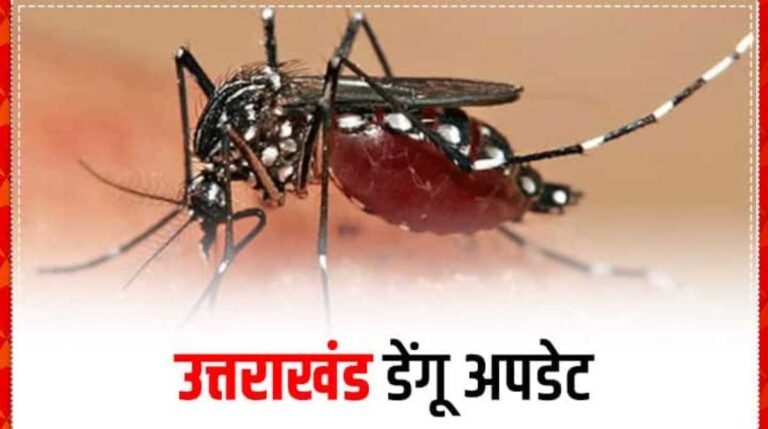 उत्तराखंड में डेंगू का बढ़ रहा खतरा, दून में मिले