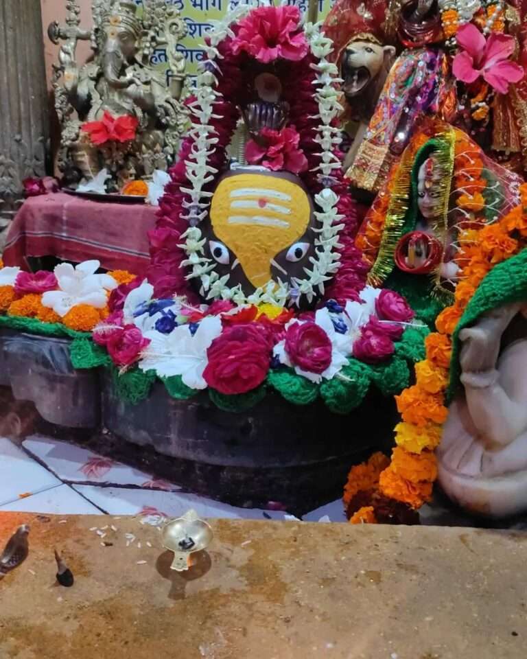 Navratri is the festival of worship of Shakti