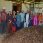 Free one day mushroom training camp