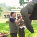 Safari in Jim Corbett Tiger Reserve