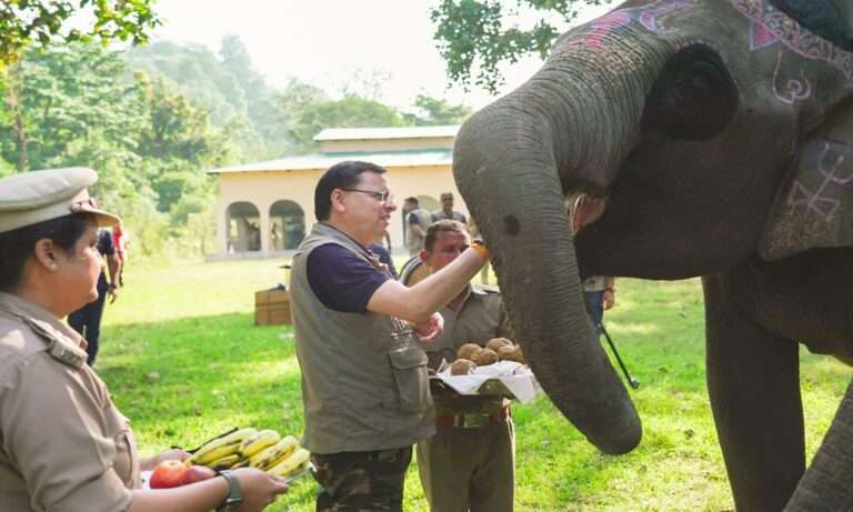Safari in Jim Corbett Tiger Reserve