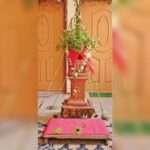 Tulsi fast