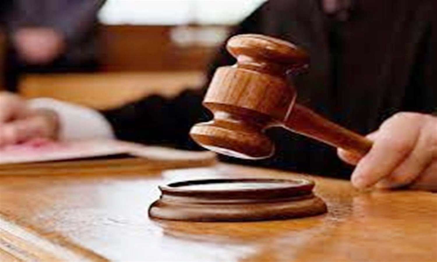 हाईकोर्ट का सख्त निर्देश सड़कों को किया जाए लावारिस आवारा पशुओं से मुक्त