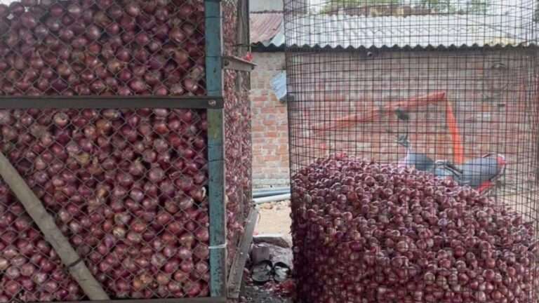 Department of horticulture