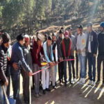 cricket competition
