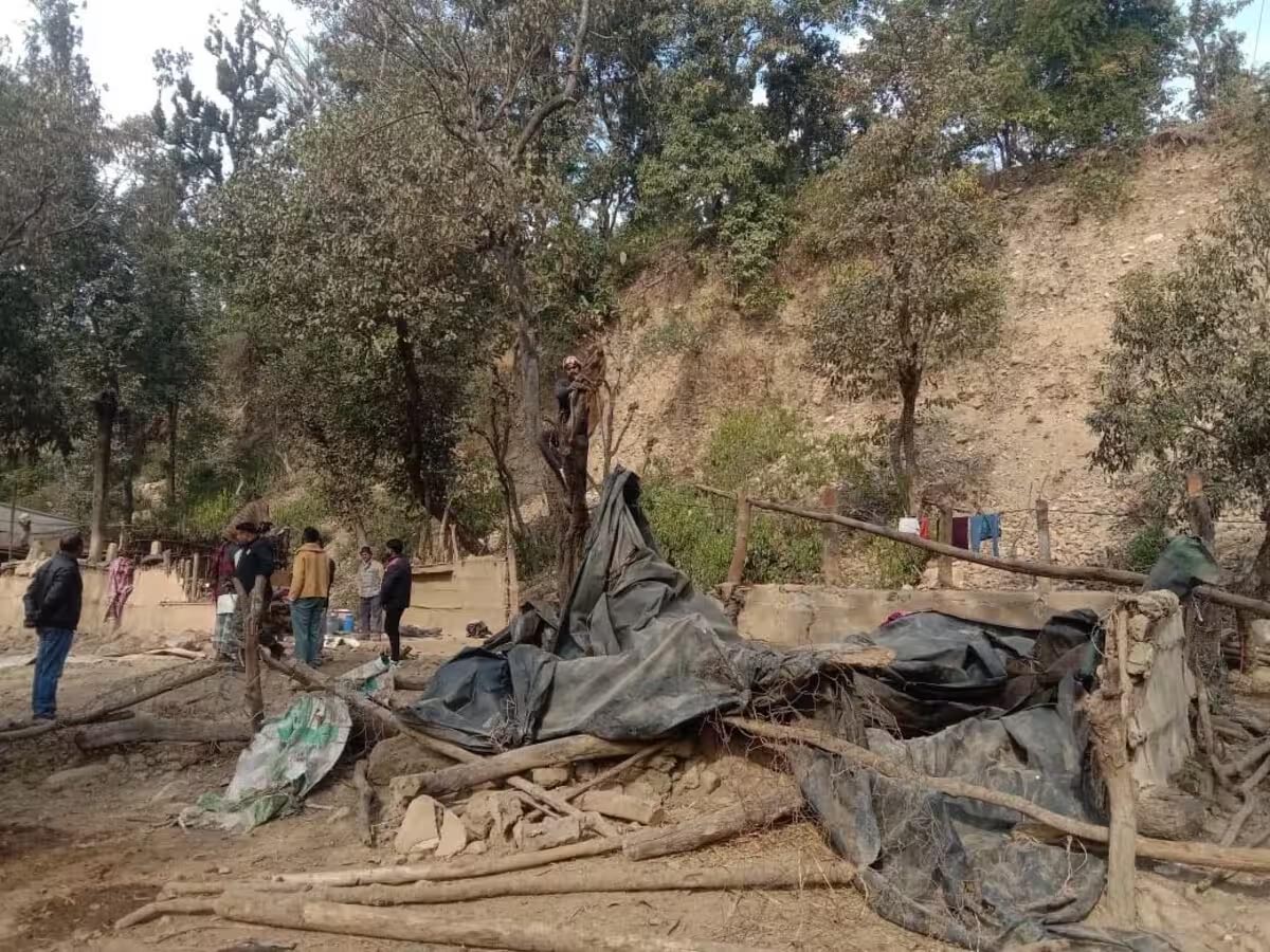 Forest department