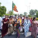 BJP's performance