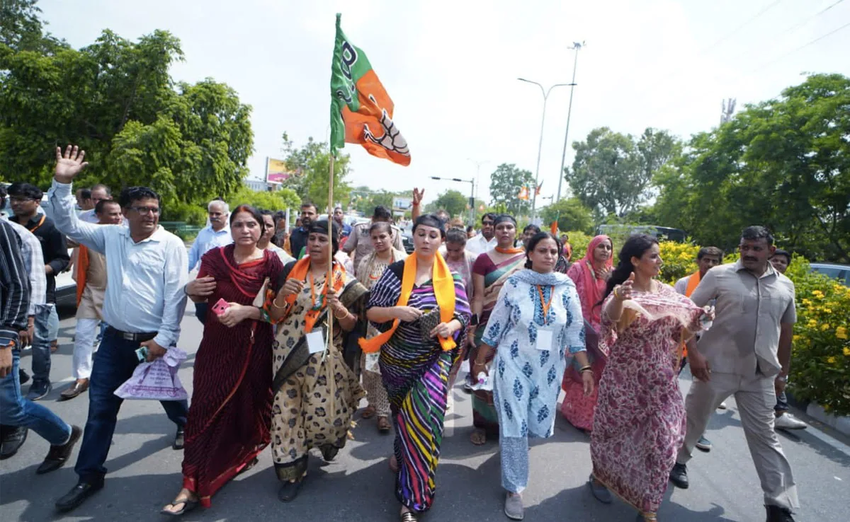 BJP's performance