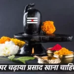 shivling puja rules