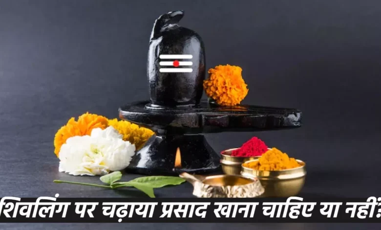 shivling puja rules