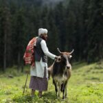 The Nomads Land