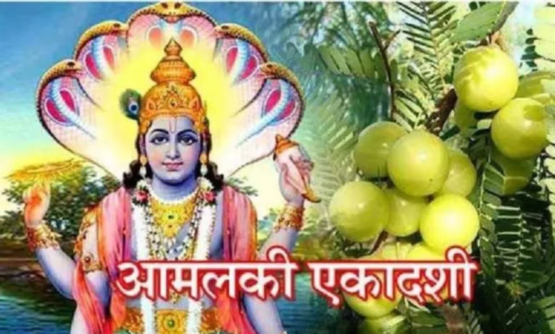 amalaki ekadashi puja vidhi