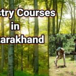 MSc Forestry Courses in Dehradun India