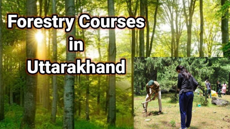 MSc Forestry Courses in Dehradun India