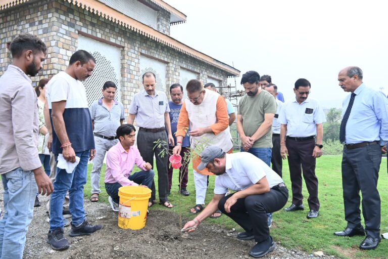 "One tree for mother" campaign