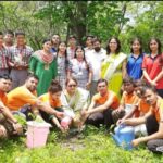 Plantation of trees