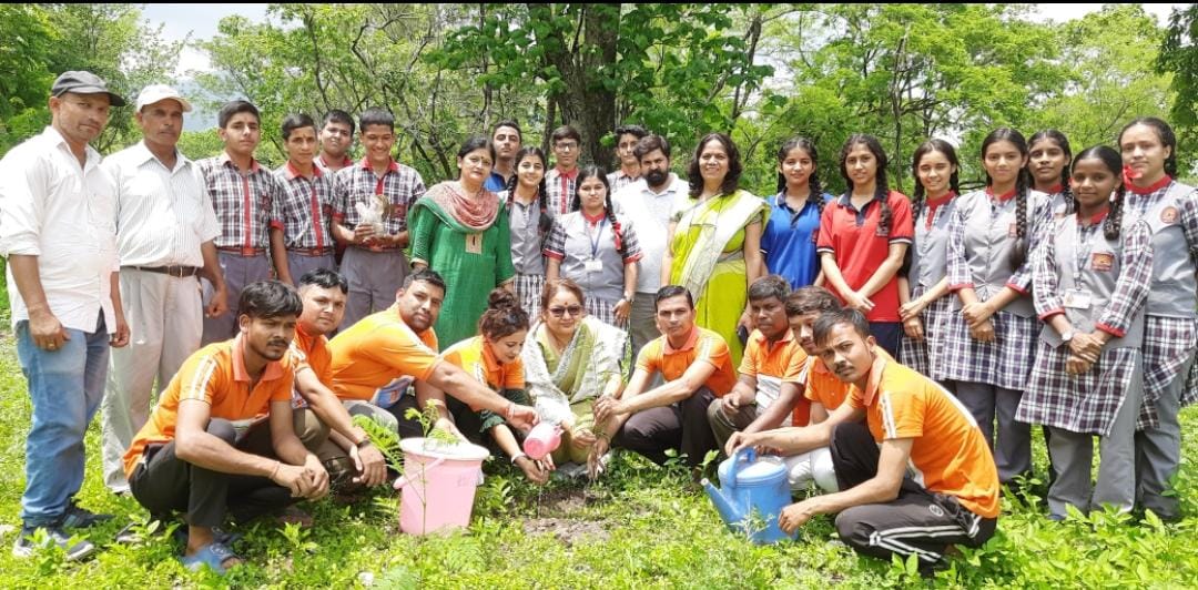 Plantation of trees