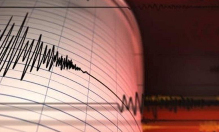 Screenshot-2024-08-29-105214-780x470