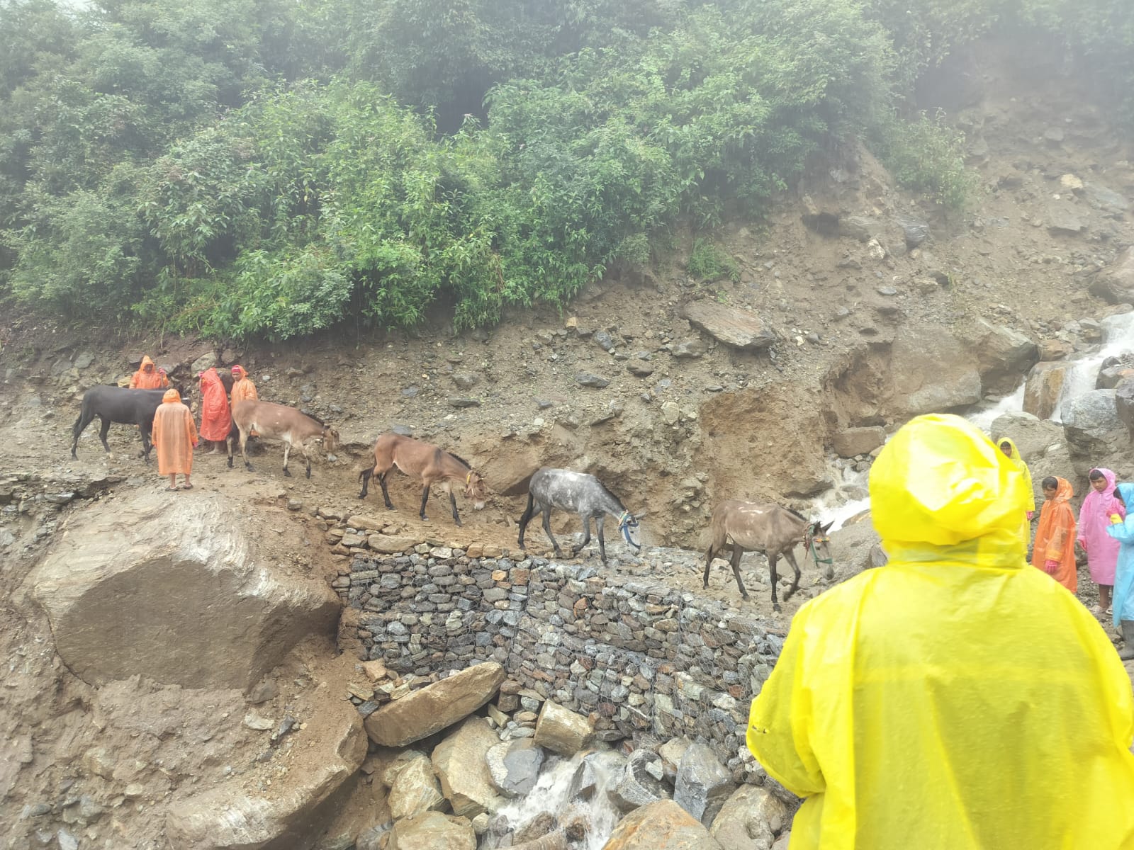 केदारनाथ धाम से छोटी लिनचोली तक क्षतिग्रस्त पैदल यात्रा मार्ग को आवाजाही हेतु कर दिया गया है सुचारू