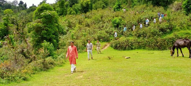 WhatsApp Image 2024-08-23 at 5.50.47 PM