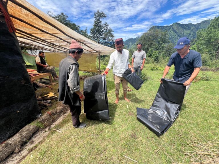 WhatsApp Image 2024-08-25 at 6.13.31 PM