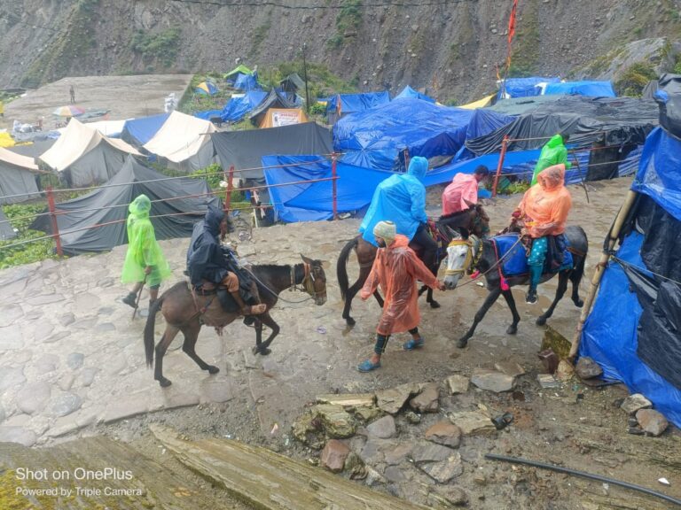 WhatsApp Image 2024-09-06 at 6.27.09 PM