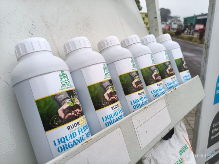 WhatsApp Image 2024-11-11 at 4.59.07 AM