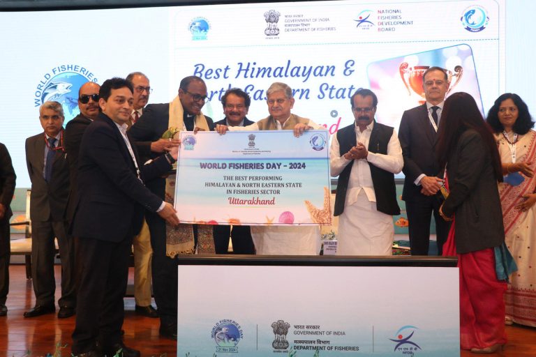 WhatsApp Image 2024-11-21 at 6.34.29 PM (1)